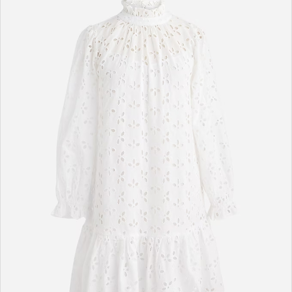 J Crew NWT Pink Eyelet Dress Small Ruffle neck New